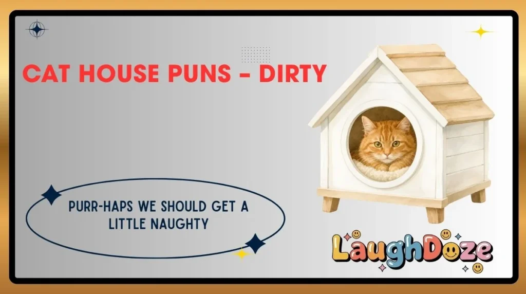 Cat House Puns – Dirty