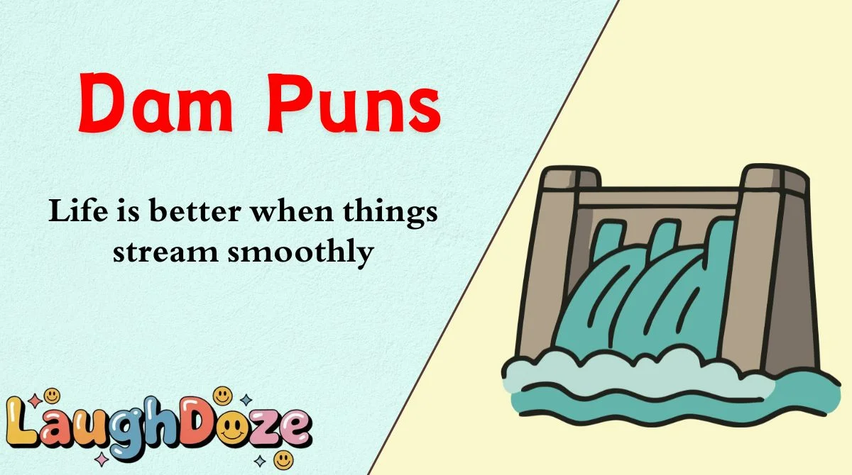 Dam Puns