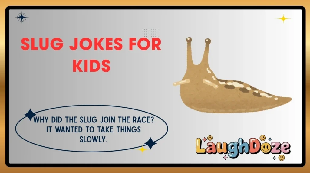 Slug Jokes for Kids