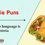 Birria Puns