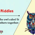Owl Riddles