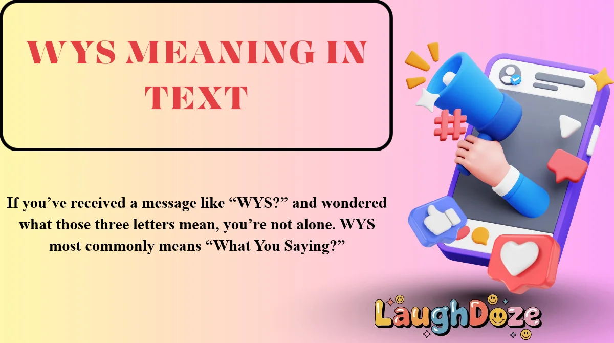WYS Meaning in Text